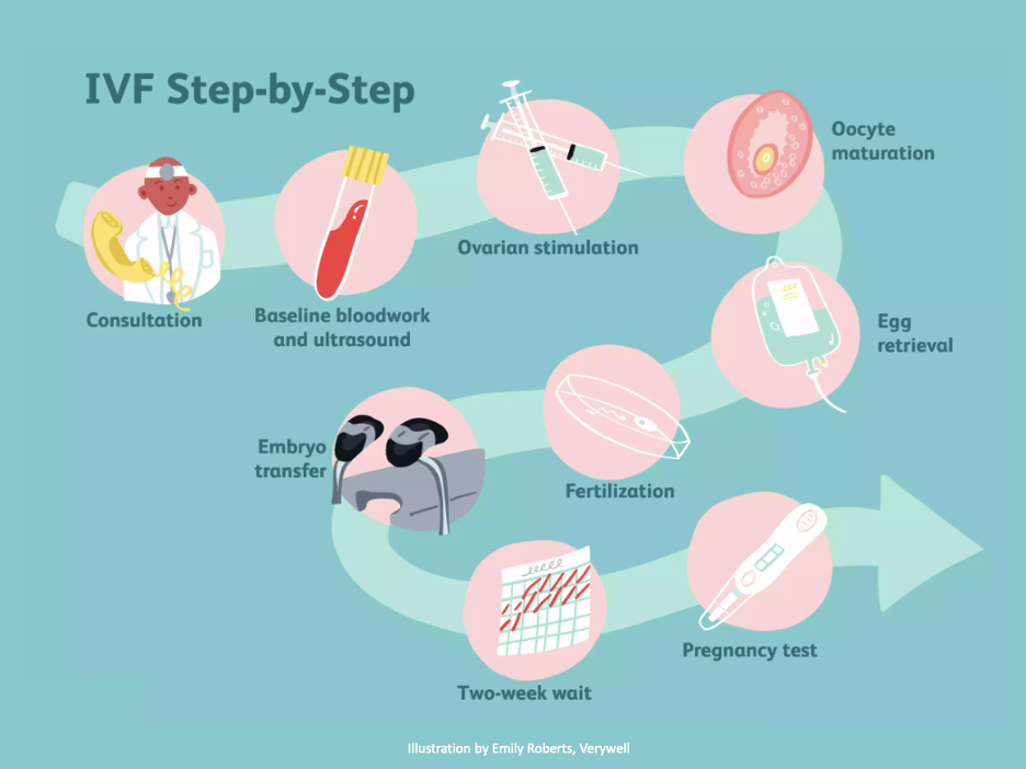 IVF and Fertility Clinic