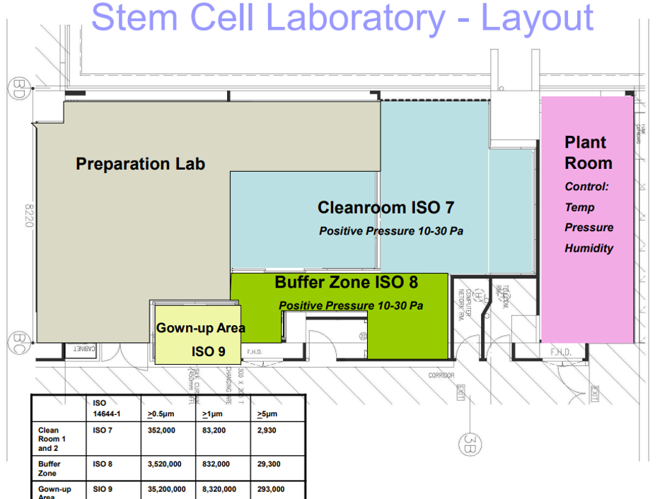 stem cell library layout